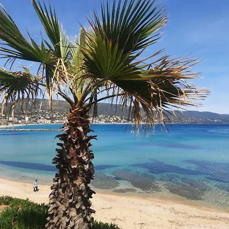 Studio Cabine Le Lavandou